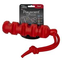 JACK AND VANILLA, Interactief hondenspeelgoed, zachte textuur, rundergeur, duurzaam en gemakkelijk te reinigen, ideaal voor spel, 24 cm, natuurlijke kleur, Playscent model