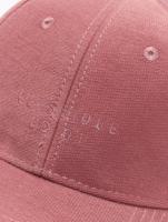 Cayler & Sons / snapback cap CSBL Edo1 Curved in rose