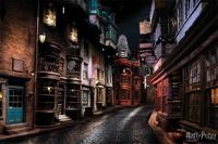 Harry Potter Poster Pack Diagon Alley 61 x 91 cm (5)