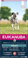 EUKANUBA premium hondenvoer met zalm voor grote rassen - droogvoer voor volwassen honden, 12 kg
