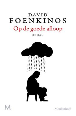 Op de goede afloop - David Foenkinos - ebook