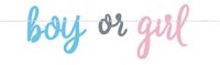 Letterslinger Gender Reveal &apos;Boy or Girl&apos; (213cm)