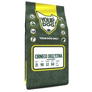 Yourdog Cirneco dell&apos;etna volwassen