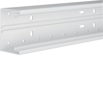 Hager BR6510019016 Kabelgoot Onderdeel (l x b) 2000 mm x 100 mm Wit 2 m