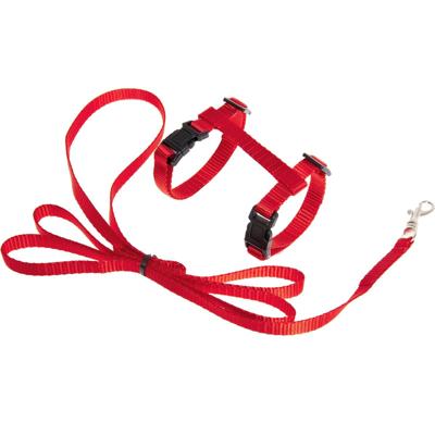 Kittentuigje met Lijn Ziggi Rood 20 - 30 cm x 10 mm Flamingo Rood Kittentuigje met Lijn Ziggi Rood 20 - 30 cm x 10 mm Flamingo Rood