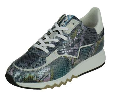 Floris Van Bommel Floris Sport Floris Van Bommel Floris Sport