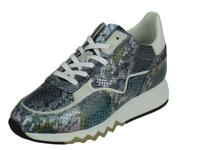 Floris Van Bommel Floris Sport