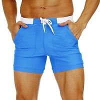 Voor heren Lange zwembroeken Zwemshorts Boardshorts Badpak Trekkoord Mesh voering Met zakken Zwemmen Surfen Strand Watersport Effen Zomer Lightinthebox