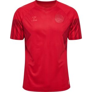 Denemarken Thuisshirt WK 2022