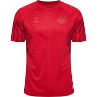 Denemarken Thuisshirt WK 2022