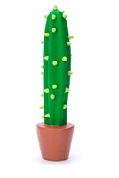 Honden piepspeelgoed Cactus - thumbnail