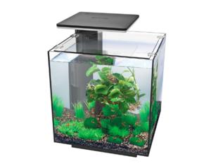 Superfish Qubiq 60 Pro Zwart - Compact Aquarium met Energiezuinige LED & Geavanceerd Filter