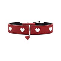 Hunter Collar Love - 55/M