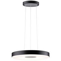 Paulmann Pane II 79517 LED-hanglamp LED 22 W Zwart, Grijs - thumbnail