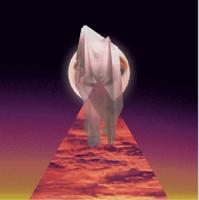 Nightshift - LP (7332233901612)