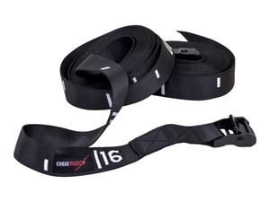 Lifemaxx LMX1504 Strap set for training rings (2x16ft)