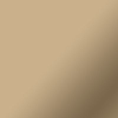 Cricut Matte Metallic Permanent Rol warmte-overdragend vinyl