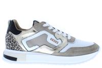 Giga 3672 F43A11 conchigli taupe 