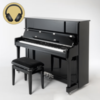 Sebastian Steinwald 123 (AdSilent) PE zilver silent piano