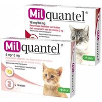 Milquantel ontwormingstabletten voor de kat Kat 2+ kg 4 tabletten