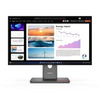 Lenovo TS-P24Q-40 23,8 inch, 2560 x 1440, IPS, 120 Hz