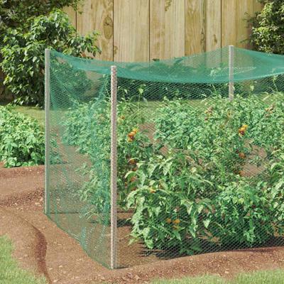 Vogelbeschermnet Groen 2 x 10 m HDPE