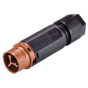 Wieland Electric 46.032.4551.4 Ronde connector Stekker, recht Totaal aantal polen: 2 Serie (ronde connectoren): RST® MINI 1 stuk(s)