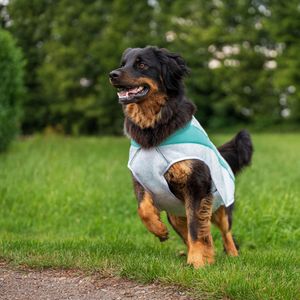 Ruffwear Honden-koelvest Swamp Coolerâ„¢ Vest, grijs, Maat: S