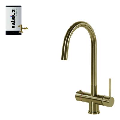 Selsiuz Inox kokend water kraan met titanium combi boiler en C-uitloopkraan gold