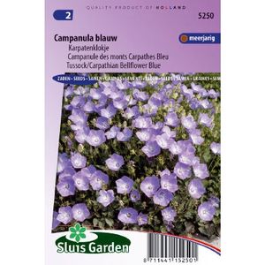 Campanula Carpatica Coerulea zaden Klokjesbloem