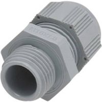 Helukabel 99317-10 Wartel PG36 Polyamide Zilver-grijs (RAL 7001) 1 stuk(s)