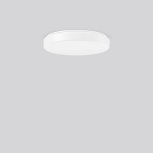 RZB FLAT POLYMERO KREIS SLIM plafondverlichting LED