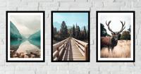 Posters - Berg, Brug en Hert / Set van 3 - thumbnail