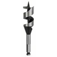 Bosch Accessories 2608585712 Slangenboor 32 mm Gezamenlijke lengte 160 mm Zeskant schacht 1 stuk(s) - thumbnail