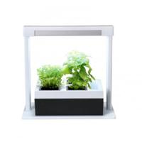 Gebor - Kruidentuintje – Moestuin Voor Binnen – Keuken Moestuin – Keuken Plantenpotjes – Led Lamp – Wit En Zwart