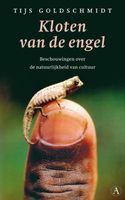 Kloten van de engel - Tijs Goldschmidt - ebook - thumbnail