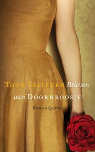 Brieven aan Doornroosje - Toon Tellegen - ebook