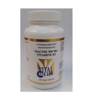 Vitamine B3 niacine 500 mg