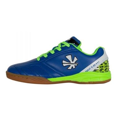 Bully X80 - Indoor Bully X80 - Indoor