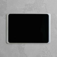 Displine Tablethouder Dame Wall 2.0 voor iPad 10.9' 10th gen. Zilver geanodiseerd USB-C