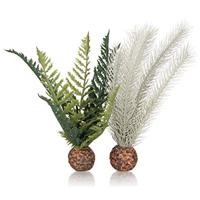 biOrb Distel Varen Grijs/Groen S