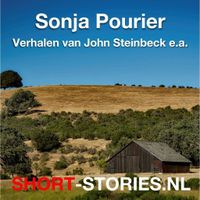 Verhalen van John Steinbeck e.a. - thumbnail