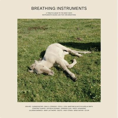 Breathing Instruments - LP (5051142007506)