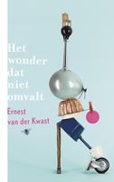 Het wonder dat niet omvalt - Ernest van der Kwast - ebook - thumbnail