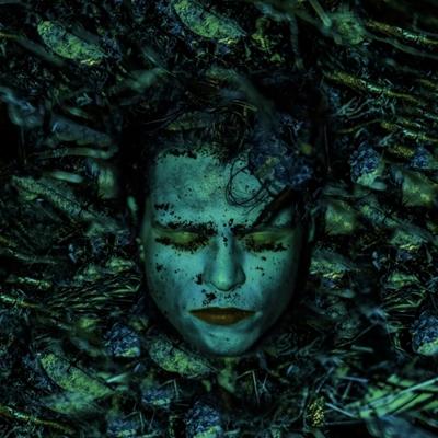 Bond - LP (7072805001219)