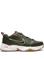 Nike baskets Air Monarch 4 PR - Vert