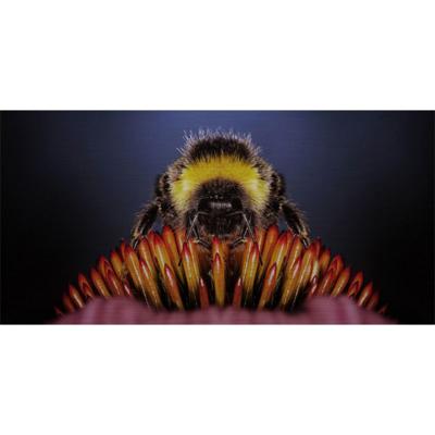 Wanddecoratie Wonderful Life 007 98x48cm Wanddecoratie Wonderful Life 007 98x48cm