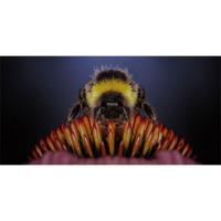 Wanddecoratie Wonderful Life 007 98x48cm