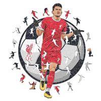 Iconic Puzzles, Luis Diaz, 100% eco-duurzame houten puzzel met officiële licentie, maat M, 270 stukjes