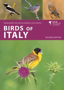 Vogelgids Pocket Photo Guide Birds of Italy | Bloomsbury